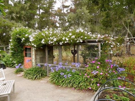 Chicken Run Ideas, Garden Rooftop, Cute Chicken Coops, Chicken Barn, Chicken Coop Garden, Chicken Coup, Peony Garden, Coop Design, Coops Diy