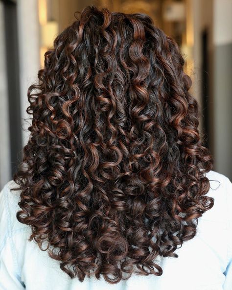 15 Best Curly Hairstyles to Inspire You Highlight Hairstyle, Curly Balayage Hair, Cute Hairstyle Ideas, Best Curly Hairstyles, Curly Highlights, Dark Curly Hair, Dyed Curly Hair, Natural Curly Hair Cuts, Highlights Curly Hair