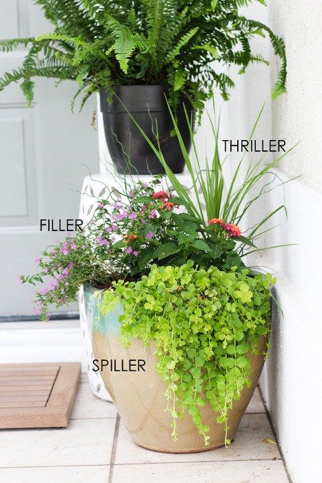 Use the thriller, filler, and spiller method when planting in pots for a gorgeous finished look. Planting In Pots, Summer Flower Pots, Potted Plants Patio, Summer Planter, Porch Plants, Patio Flowers, Porch Flowers, Planting Pots, Potted Plants Outdoor