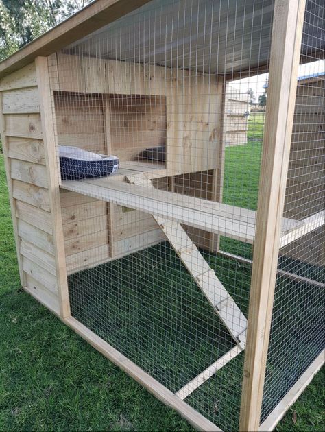 Outdoor Pet Enclosure Dogs, Cat Outdoor Enclosure, Outdoor Pet Enclosure, Meat Rabbits, Niche Chat, Cat Patio, Outdoor Cat Enclosure, Cat House Diy, Cat Run