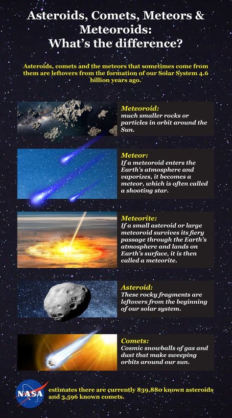 Asteroids, Comets, Meteors & Meteoroids: What’s the difference? - NASA Infographic... Nasa Infographic, Solar System Worksheets, Comets And Asteroids, Physics Lessons, Organic Molecules, Amateur Astronomy, Astronomy Facts, Science Rules, Astronomy Science