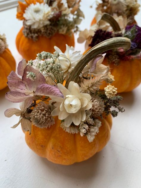 Pumpkins With Dried Flowers, Dried Flower Pumpkin Diy, Pumpkin With Dry Flowers, Dry Flower Pumpkin, Dried Floral Pumpkin, Dried Flower Mini Pumpkins, Flower Pumpkins, Pumpkins Decorated, Fall Hosting