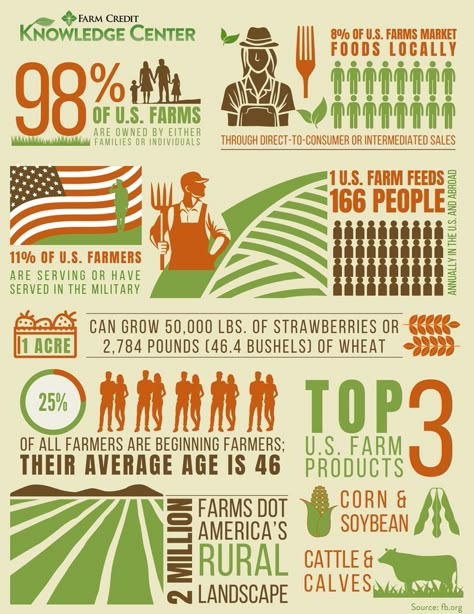 Everyone is a consumer of products derived from the agricultural industry. Agriculture Mood Board, Agriculture Infographic, Statistical Infographic, Agriculture Poster, Scientific Poster Design, Manifesto Poster, Farm Facts, Scientific Poster, Poster Landscape