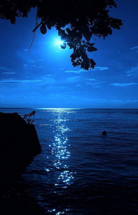 Moonlight Photography, Moon Photography, Beautiful Moon, Beautiful Nature Wallpaper, The Night Sky, Blue Aesthetic, Nature Wallpaper, Beautiful Sunset, Amazing Nature