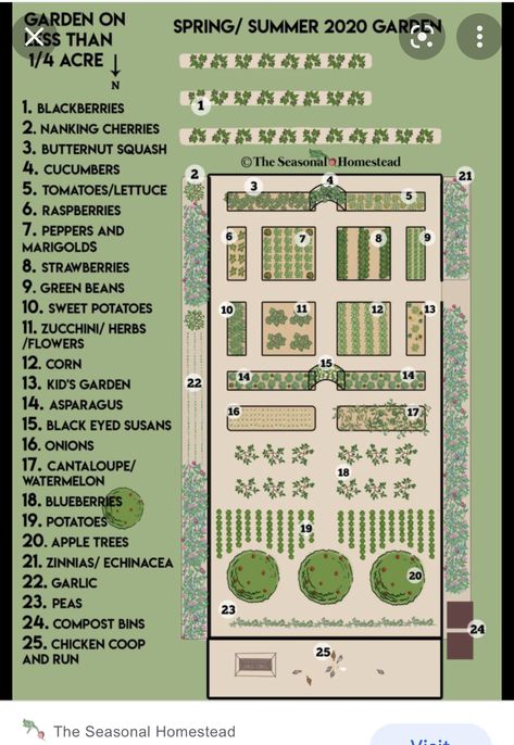 Year Round Garden, Vegetable Garden Layout Design, Vegetable Garden Layout, Garden Planning Layout, Autumn Clematis, Round Garden, Garden Layout Vegetable, Clematis Vine, Garden Design Layout