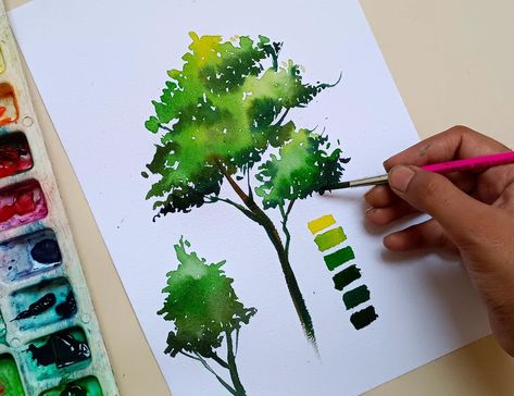 Green tree, watercolor tree , BASICS of tree from Watercolour, Chitrapat paper, Water Colour Tree, Making A Tree, How To Make Trees, Trees For Kids, Tree Tutorial, Basic Watercolor, Watercolor Subjects, Watercolor Tree, Watercolour Illustration