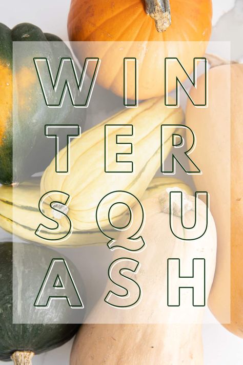 A guide to the most popular Types of Winter Squash! Including varieties, preparations, and recipes. With cooler temperatures on the way, let’s learn some more about these versatile and often underrated vegetables! Squash Varieties Types Of, Different Squash Types, Kabocha Squash Recipe, Winter Squash Varieties, Squash Types, Buffalo Chicken Spaghetti Squash, Squash Varieties, Apple Pork Chops, Butternut Squash Risotto