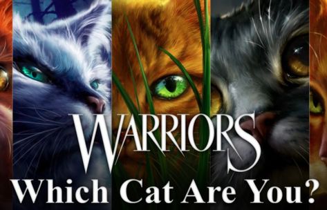 Warrior Cats Quiz, Warrior Cat Names, Cat Personality, Animal Quiz, Warrior Cats Series, Famous Warriors, Warrior Cats Books, Cat Personalities, Warrior Cat Oc