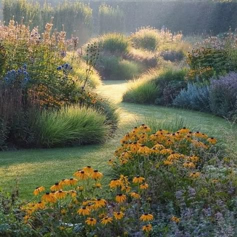 Goldsturm Rudbeckia, Rudbeckia Goldsturm, Rudbeckia Flower, White Picket Fence Ideas, Rudbeckia Fulgida, Veronicastrum Virginicum, Picket Fence Ideas, Naturalistic Garden, Grass Garden