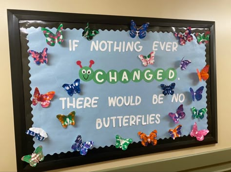 Butterflies Bulletin Board Ideas, Butterfly Display Classroom, April May Bulletin Boards, Butterfly Birthday Board For Classroom, Spring Butterfly Bulletin Board Ideas, Insects Bulletin Board Ideas, Insect Bulletin Board Ideas Preschool, May Board Ideas, May Bulletin Board Ideas Daycare