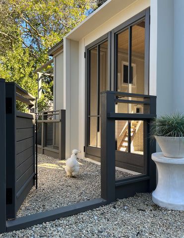 Bay Area Coops | Custom Chicken Coop - "Golden State Coop" Chicken Coop Ideas Modern, Coop Color Ideas, Chicken Coop Decor Ideas, Quail Care, Modern Chicken Coop, Wood Window Sill, Automatic Chicken Door, Animal Homes, Interior Pendant Lighting