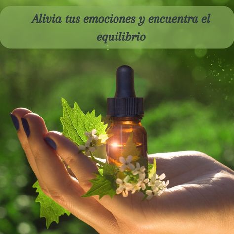 🌸¿Conoces los increíbles beneficios de la terapia con flores de Bach? 🌸 ✨ Esta técnica natural se centra en equilibrar nuestras emociones mediante esencias florales, ayudándonos a manejar el estrés, la ansiedad y otros desequilibrios emocionales. 🌼 Las flores de Bach actúan de manera sutil pero efectiva, promoviendo un estado de armonía entre cuerpo y mente. Cada esencia floral está diseñada para tratar una emoción específica, permitiendo una personalización única para cada persona. 🌿 En m... Reusable Water Bottle, Barcelona, Water Bottle, Floral, On Instagram, Instagram