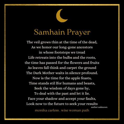 Samhain Blessings, Wise Ones! 🐈‍⬛If you know the author of this prayer, let me know! Samhain Blessings, Wise One, Samhain, Book Of Shadows, Let Me Know, Let Me, The Past, Let It Be