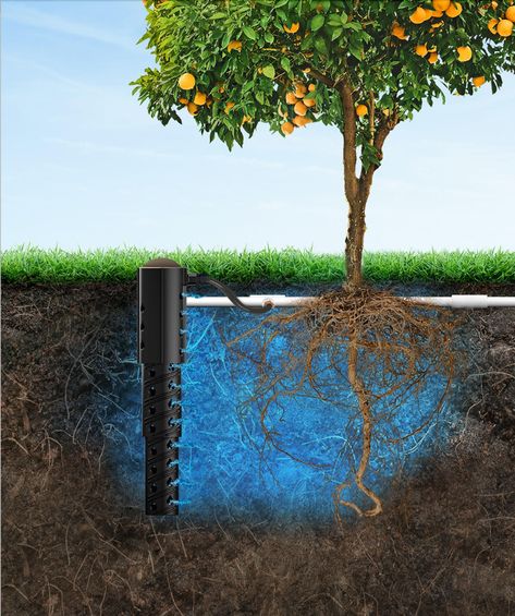 In Deep Irrigation | Subsurface Watering and Irrigation System Drip Irrigation System Design, Tree Irrigation, Flower Reproduction, Sprinkler Heads, Drip System, Drip Irrigation System, Water Bill, Drip Irrigation, Tree Roots