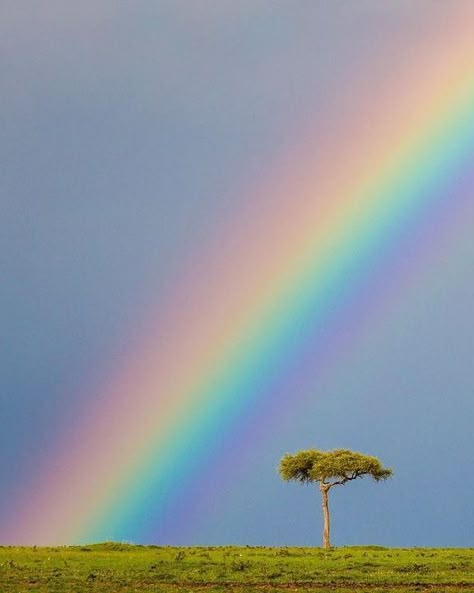 Arc En Ciel Aesthetic, Rainbow Astethics, Rainbow Photos, Christian Canvas Paintings, Rainbow Inspiration, Nature Rainbow, Real Rainbow, Blurry Eyes, Rainbow Images