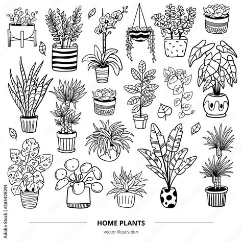 House Plant Doodles, Potted Plant Drawing, House Plant Drawing, Plants Doodle, Plant Doodles, Plant Sketches, Plant Doodle, Plants In Pots, 포트폴리오 레이아웃