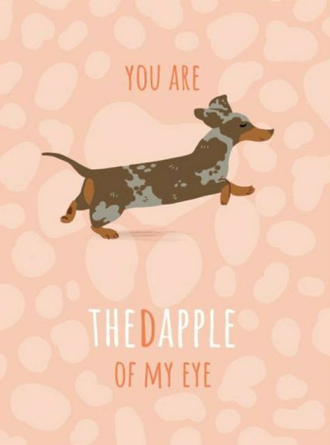 Daschund Tattoo, Dachshund Wallpaper, Dachshund Cartoon, Dachshund Quotes, American Bull, Dog Clip Art, Weiners, Dachshund Art, Dog Mixes