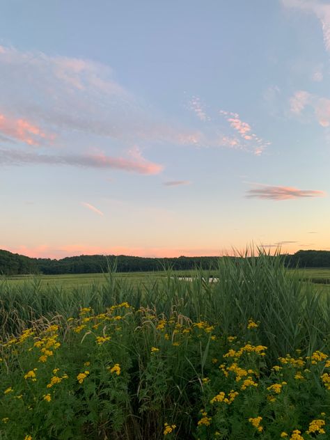 massachusetts summer sunset Massachusetts Summer Aesthetic, Massachusetts Summer, Massachusetts Aesthetic, Massachusetts Houses, Rockport Massachusetts, England Summer, Summer Sunset, Gloucester, 2024 Vision