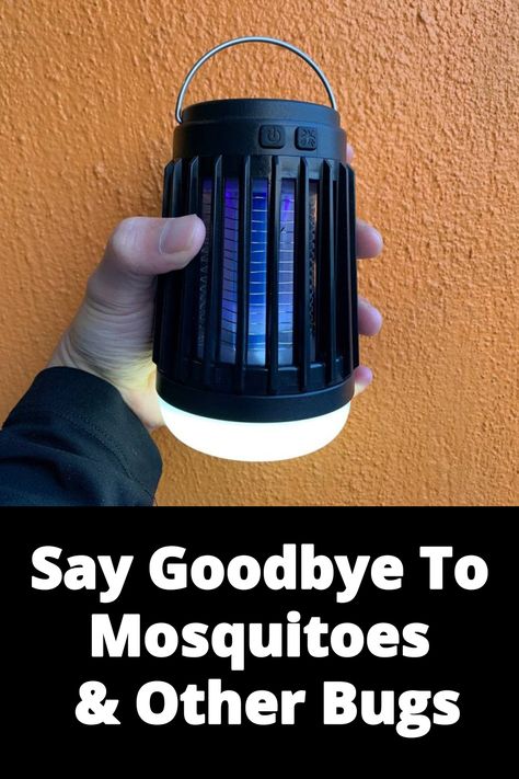 This gadget sold out 4 times in summer 2022 and is set to sell out before summer even begins in 2023. Find out why. Ant Spray, Stay Healthy, Sell Out, Simple Tricks, Summer 2022, Say Goodbye, In Summer, Ants, How To Stay Healthy