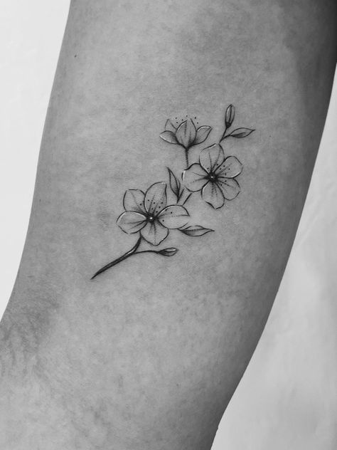 black and white cherry blossom tattoo on the right bicep Black Blossom Tattoo, Cherry Blossom Tattoos Black And White, Cherry Blossom Branch Tattoo Black, Cheery Blossoms Tattoo Black And White, Flower Tattoo Cherry Blossom, Simplistic Cherry Blossom Tattoo, Black And White Ink Flower Tattoo, Small Flower Tattoos Black And White, Black White Cherry Blossom Tattoo