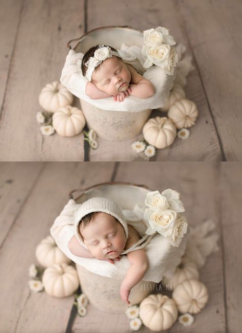 Fall Newborn Pictures, Fall Newborn Photos, Fall Newborn Photography, Fall Newborn, Fall Baby Pictures, Newborn Art, Foto Newborn, Newborn Photography Poses, Newborn Baby Photoshoot