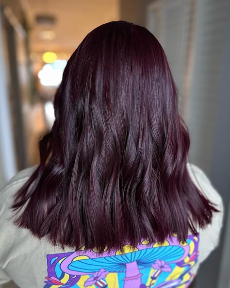 Cherry Burgundy Hair, Cherry Black Hair Color, Dark Plum Hair Color, Dark Cherry Hair, Pelo Color Borgoña, Cherry Brown Hair, Pelo Color Vino, Black Cherry Hair Color, Plump Hair