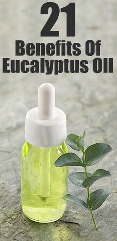 21 Amazing Benefits Of Eucalyptus Oil For Skin, Hair & Health www.onedoterracommunity.com https://www.facebook.com/#!/OneDoterraCommunity Eucalyptus Oil Benefits, Benefits Of Eucalyptus, Sinus Remedies, Oil For Skin, Eucalyptus Globulus, Sinus Infection, Eucalyptus Oil, Oil Benefits, Oil Uses