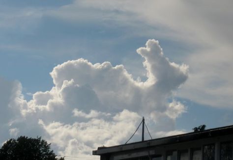 Rabbit shaped cloud, or a duck on his back? Lol. Cumulus Clouds, Cloud Shapes, Before Sunrise, Storm Clouds, The Clouds, Installation Art, Cosmos, The Sky, Cool Photos