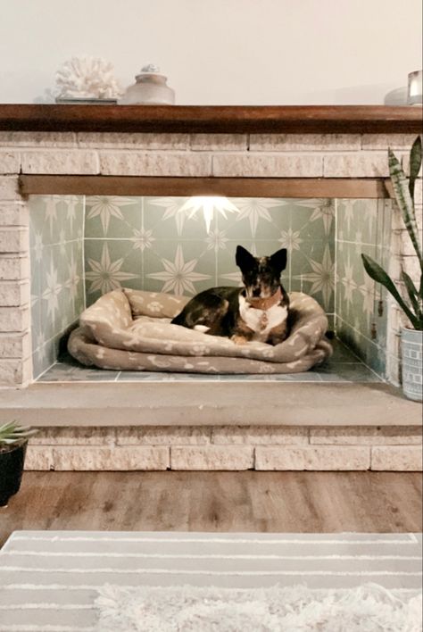 Barkitecture Ideas, Empty Fireplace Ideas, Dog Nook, Dog Room Decor, Dog Bedroom, Cutest Pets, Under Tv, Window Nook, Pet Area