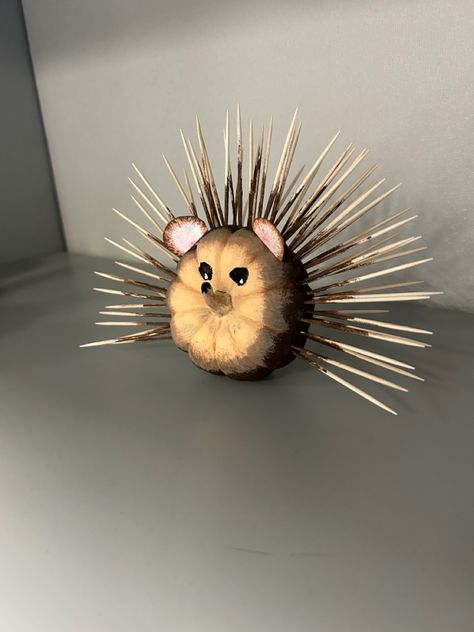 Pumpkin Decorating Animals, Hedgehog Pumpkin Decorating, Porcupine Pumpkin Decorating, Pumpkin Animals Decorating, Animal Pumkin Decoration Ideas, Pumpkin Owl Craft, Pumpkin Hedgehog, Porcupine Pumpkin, Koala Pumpkin