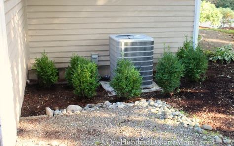 Planting Around an Air Conditioning Unit with Boxwoods Plants Around Air Conditioner Unit, Plants To Hide Air Conditioner, Air Conditioner Landscaping Ideas, Air Conditioner Landscaping, Side Yard Walkway, Air Conditioner Hide, Indian Spring, Backyard Redesign, Spring Backyard