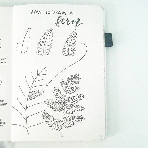 Hur Man Ritar Blommor, Arte Doodle, Botanical Line Drawing, Flower Drawing Tutorials, Flowers Drawing, Leaf Drawing, Floral Drawing, Plant Drawing, Arte Inspo