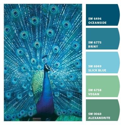 Watercolor Schemes, Cornwall Art, Peacock Bedroom, Peacock Feather Design, Peacock Colors, Peacock Decor, Color Schemes Colour Palettes, Business Colors, Paint Color Palettes