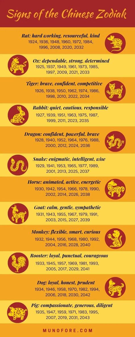 2024 Chinese Zodiac, Korean Zodiac Signs, Chinese Astrology 2023, Chinese Horoscope 2024, Chinese Zodiac Wallpaper, Japanese Zodiac Signs, Chinese Astrology Chart, Chinese Astrology Signs, Chinese Zodiac Signs Dragon