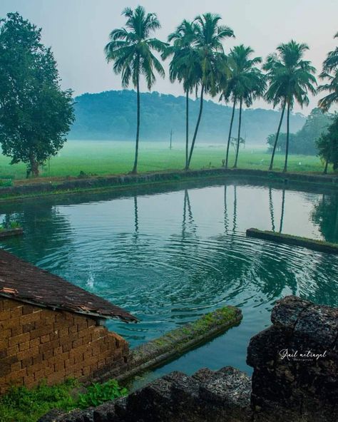 Kerala Places Photography, Kerala Tourism Photography, Palakkad Nature Photography, Kerala Aesthetic Photography, Kerala Village Photos, Kerala Nostalgia Photography, Kerala Village Photography, Konkan Nature, Kerala Landscape