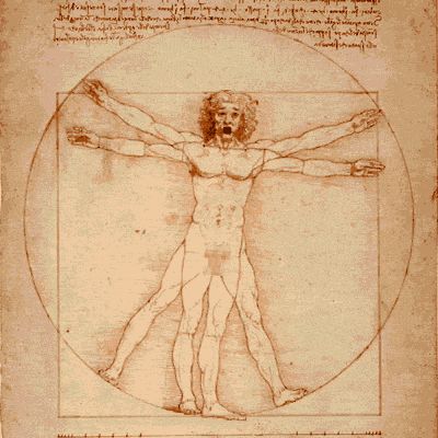 Leonardo Da Vinci Da Vinci Vitruvian Man, Vitruvian Man, Salon Art, Classic Paintings, Decorating With Pictures, Hotel Art, Office Art, Wall Art Pictures, Vintage Painting