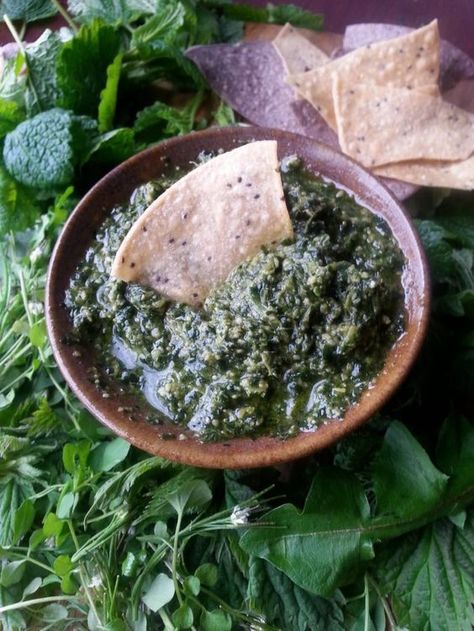 Dandelion Pesto Recipe, Garlic Mustard, Pesto Recipes, Green Pesto, Foraged Food, Pickled Veggies, Herbal Recipes, Dandelion Recipes, Edible Food