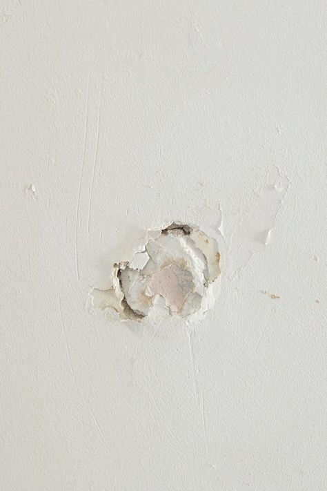 How To Patch a Hole in Drywall or Plaster Walls — Apartment Therapy Tutorials | Apartment Therapy Patching Plaster Walls, Patching Holes In Walls, Fix Hole In Wall, Plaster Repair, How To Patch Drywall, Water Based Primer, Patch Hole, Drywall Repair, Home Fix