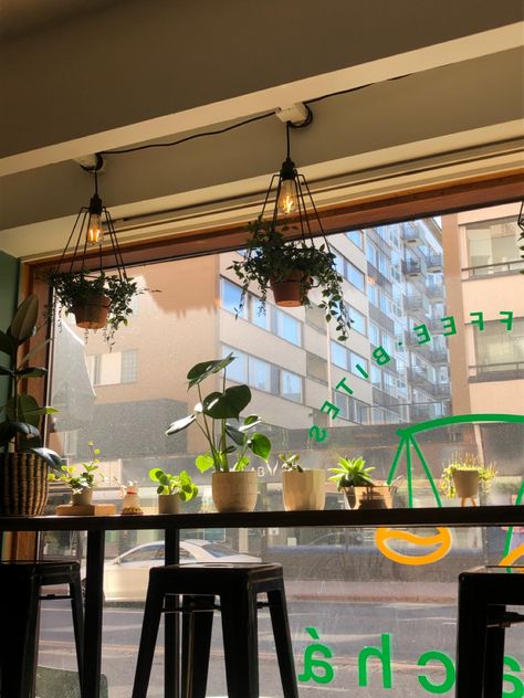 Boba Cafe Aesthetic Interior, Boba Tea Shop Aesthetic, Boba Cafe Aesthetic, Boba Shop Interior Design, Boba Cafe Interior, Plant Cafe Aesthetic, Boba Shop Design, Aesthetic Boba Shop, Boba Shop Interior