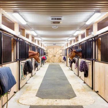 Horse Stall Mats, Lippizaner, Barn Stalls, Horse Barn Designs, Healthy Horses, Horse Stall, Winter Horse, Large Ceiling Fans, Horse Stable