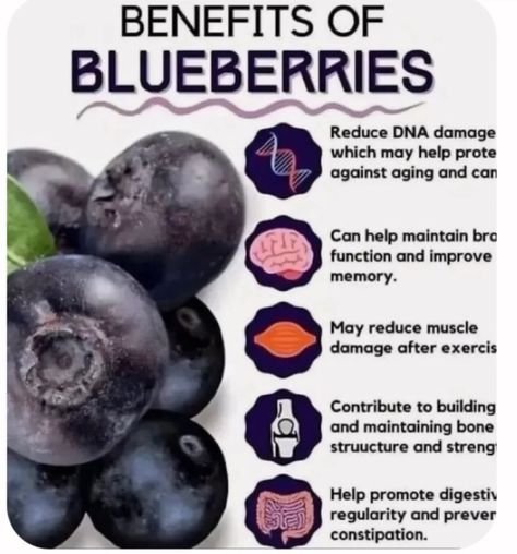 Check out the benefits of…#devotionhealth #followers #blueberries Blueberry Benefits, Healthy Food Prep, Yoga Routines, Prep Food, Prevent Constipation, Turmeric Latte, Turmeric Tea, Gentle Yoga, Plant Information