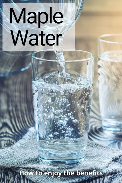 A glass of maple water being poured for a healthy lifestyle Maple Syrup Benefits Health, Maple Syrup Benefits, Diy Maple Syrup, Maple Desserts, Maple Water, Maple Salmon, Healing Water, Maple Chicken, Electrolyte Water