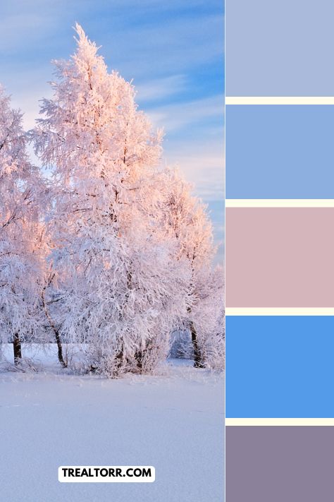 Gentle pinks and blues for a soft winter mood. Click here to create your free color palette!


#trealtor #colors #colorpalette #paint #color #winter Contrast Lighting, Winter Color Palette, Beauty Of Winter, Winter Mood, Soft Winter, Winter Color, Color Palette Generator, Your Picture, House And Home Magazine