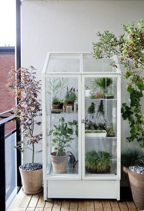 31 Clever Ways To Decorate Your Outdoor Space Serre Diy, Plantarea Legumelor, Indoor Greenhouse, Small Greenhouse, Balcony Plants, Greenhouse Plans, Ikea Hackers, Apartment Patio, Backyard Porch