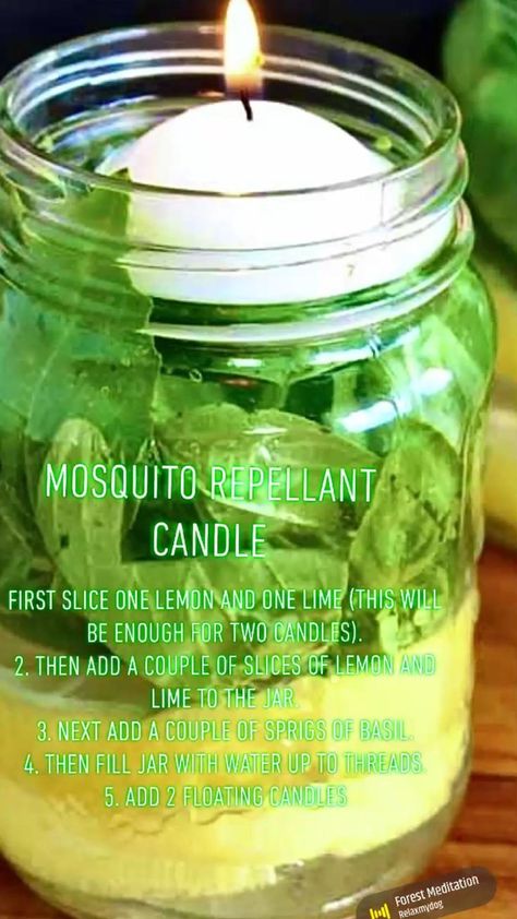 Diy Mosquito Repellent Candle, Bug Repellent Candles, Diy Bug Repellent, Mosquito Repellent Candle, Mosquito Repellent Homemade, Diy Mosquito Repellent, Natural Mosquito Repellent, Bug Spray Recipe, Candle Diy