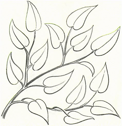 Instead of learning how to draw an entire tree, I thought it would be helpful for you to focus in on an individual tree branch. Notice the beautiful flow of lines and how gorgeous nature is. Enjoy this lesson! Draw Leaves, Leaves Drawing, Drawing Tree, Tree Inspiration, How To Draw Steps, Leaf Drawing, Plant Drawing, Tree Drawing, Tree Leaves