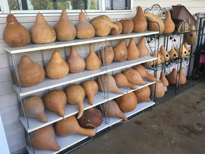 How To Dry Gourds, Fall Gourds, Gourds Birdhouse, Hand Painted Gourds, Heavy And Light, Gourds Crafts, Painted Gourds, Leather Dye, Gourd Art