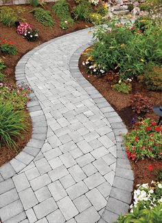 pool fun on Pinterest | Pool Landscaping, Pools and Concrete Pool Front Walkway Ideas Entrance Pathways, Stamped Cement, Cement Walkway, Patio 2023, Sidewalk Ideas, Beach Pathway, Patio Plan, Bee Coloring, Front Yard Walkway