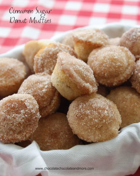 Donut Muffins, Cinnamon Sugar Donuts, Sugar Donut, Low Fodmap Recipes, Trending Recipes, Fodmap Recipes, Chocolate Chocolate, Chocolate Muffins, Low Fodmap