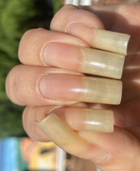 Very Long Natural Nails, Long French Tip Nails, Long Natural Nails, Long Fingernails, Curved Nails, Random Photos, Nail Inspiration, Nails Inspo, French Tip Nails